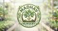 Madhav nursery