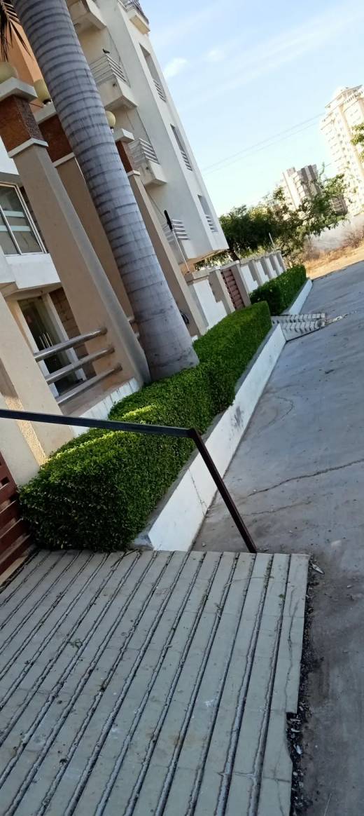 Go Green Garden