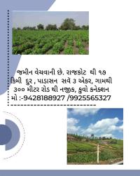 Sed jitindtyal - રાજકોટ
