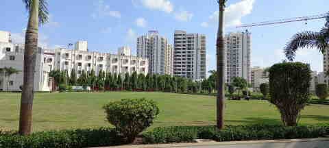 Go Green Garden service